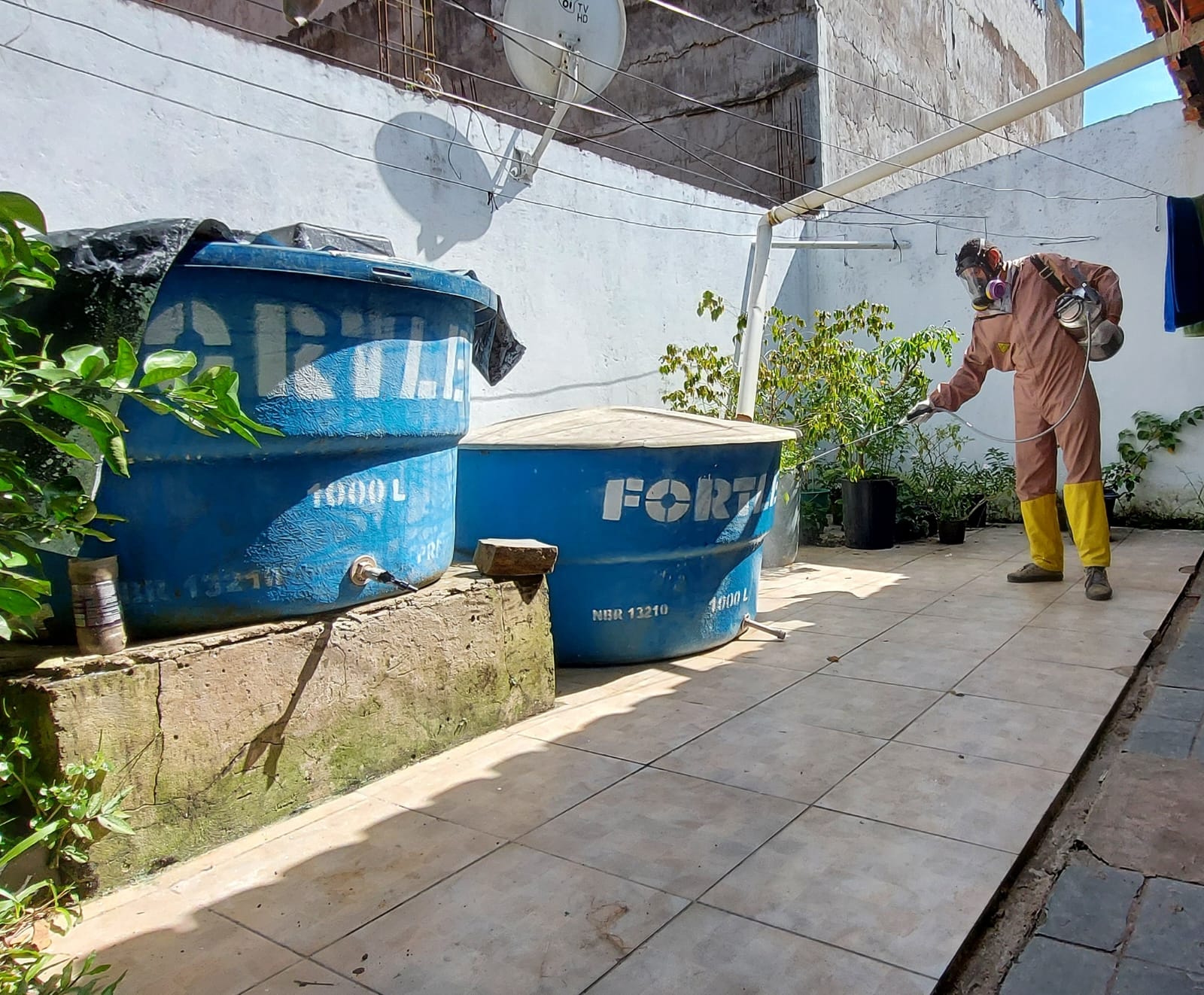 Mutirão no Vila Anália detecta muitos focos do Aedes aegpyti em reservatórios de água.