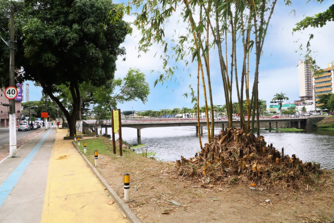 Prefeitura executa serviços de poda e roçagem na limpeza de escolas e postos de saúde.