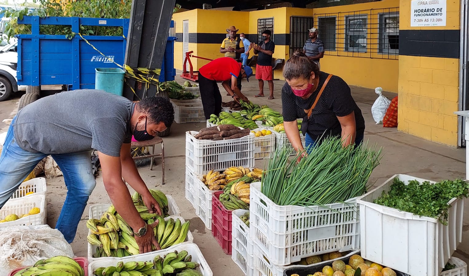 Programa Alimenta Brasil recebeu meia tonelada de alimentos das Associações de Agricultores de Itabuna.