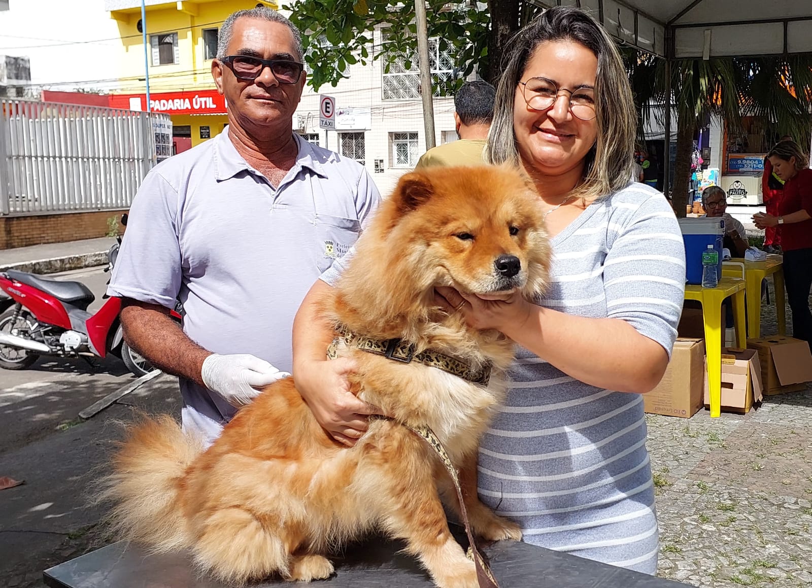 Prefeitura de Itabuna já vacinou 11 mil cães e gatos contra a raiva.
