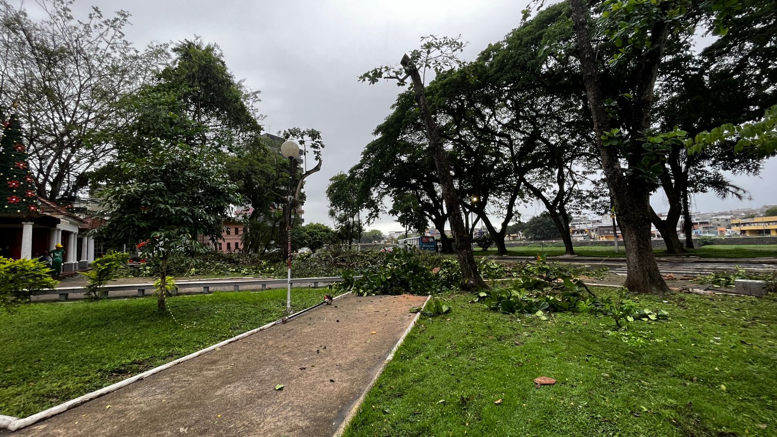 Prefeitura de Itabuna faz poda preventiva na Praça Olinto Leoni.