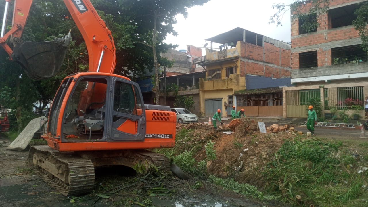 Prefeitura de Itabuna remove árvore em risco de queda no Vila Anália a pedido dos moradores.