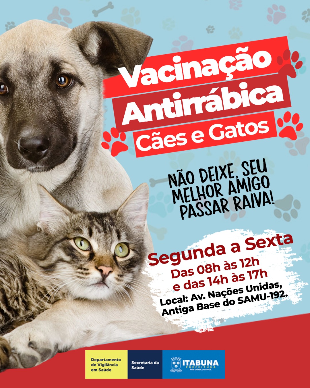 Prefeitura de Itabuna inicia na terça-feira a vacinação antirrábica de cães e gatos