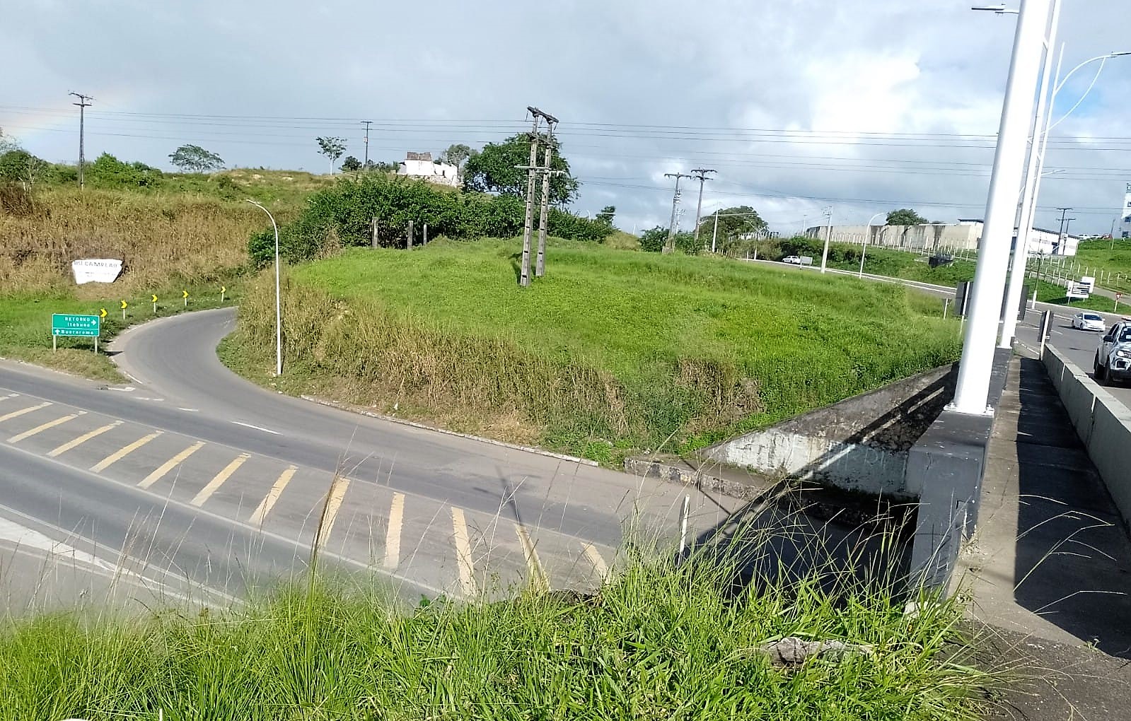Guarda Civil Municipal retira animais de grande porte das ruas de Itabuna