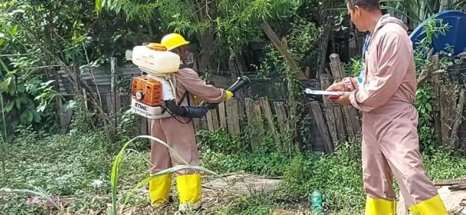 Casos de dengue diminuem, mas população deve continuar a eliminar focos e o combate ao mosquito