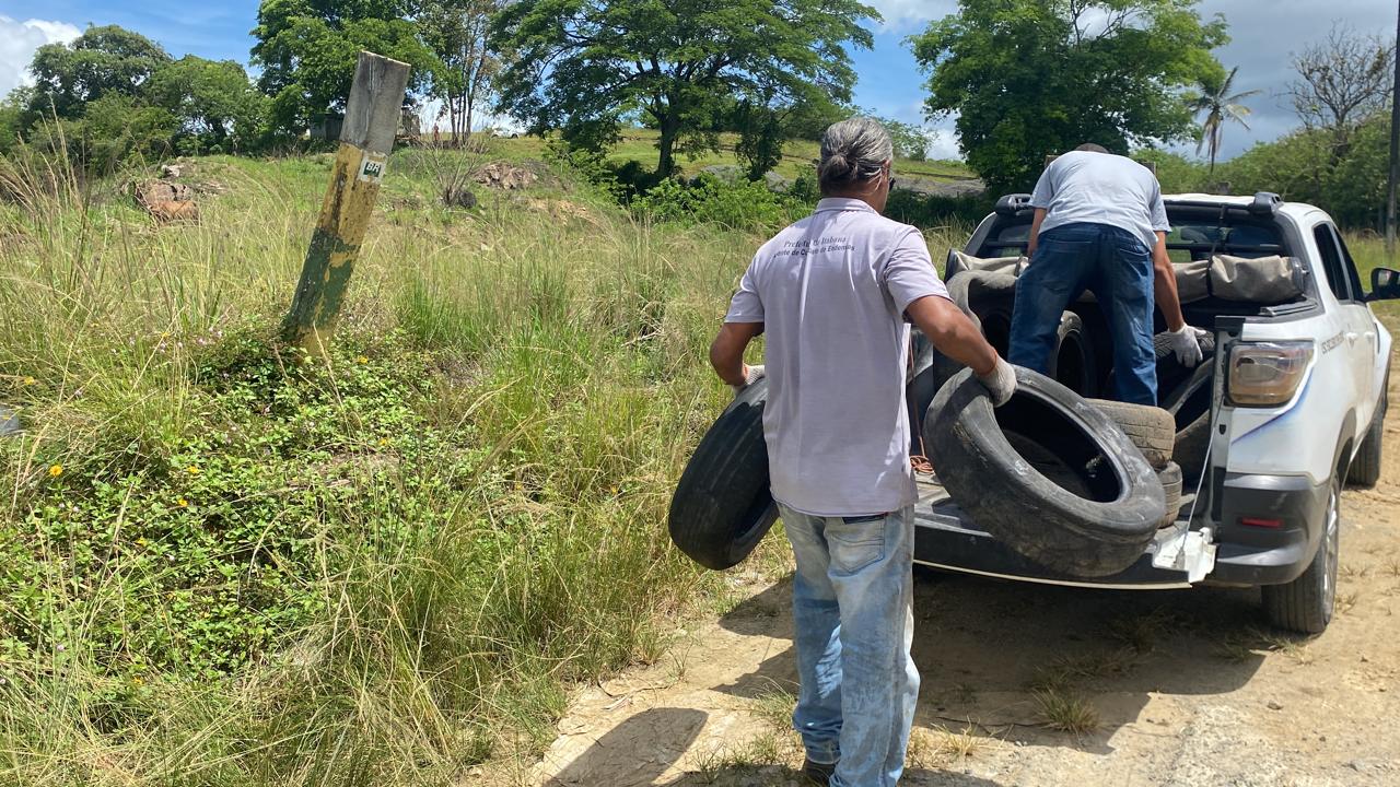Operação contra o Aedes aegypti recolhe cerca de 800 pneus usados em Itabuna