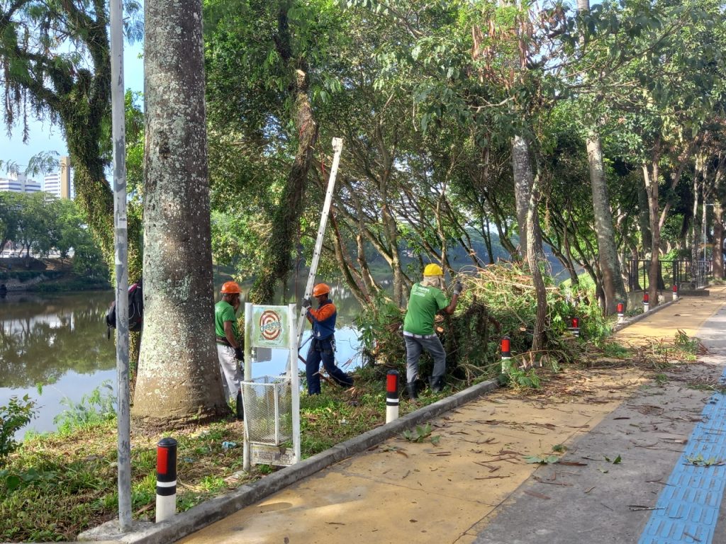 Prefeitura de Itabuna vai mapear árvores com risco de queda através da Defesa Civil e Limpeza Pública