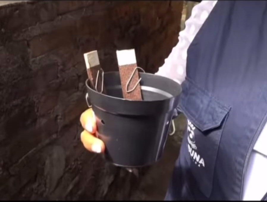 Prefeitura de Itabuna inova com nova técnica para capturar ovos do Aedes aegypti