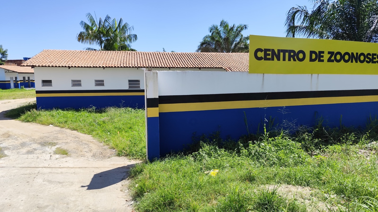 Centro de Controle de Zoonoses de Itabuna oferece tratamento contínuo contra a Esporotricose