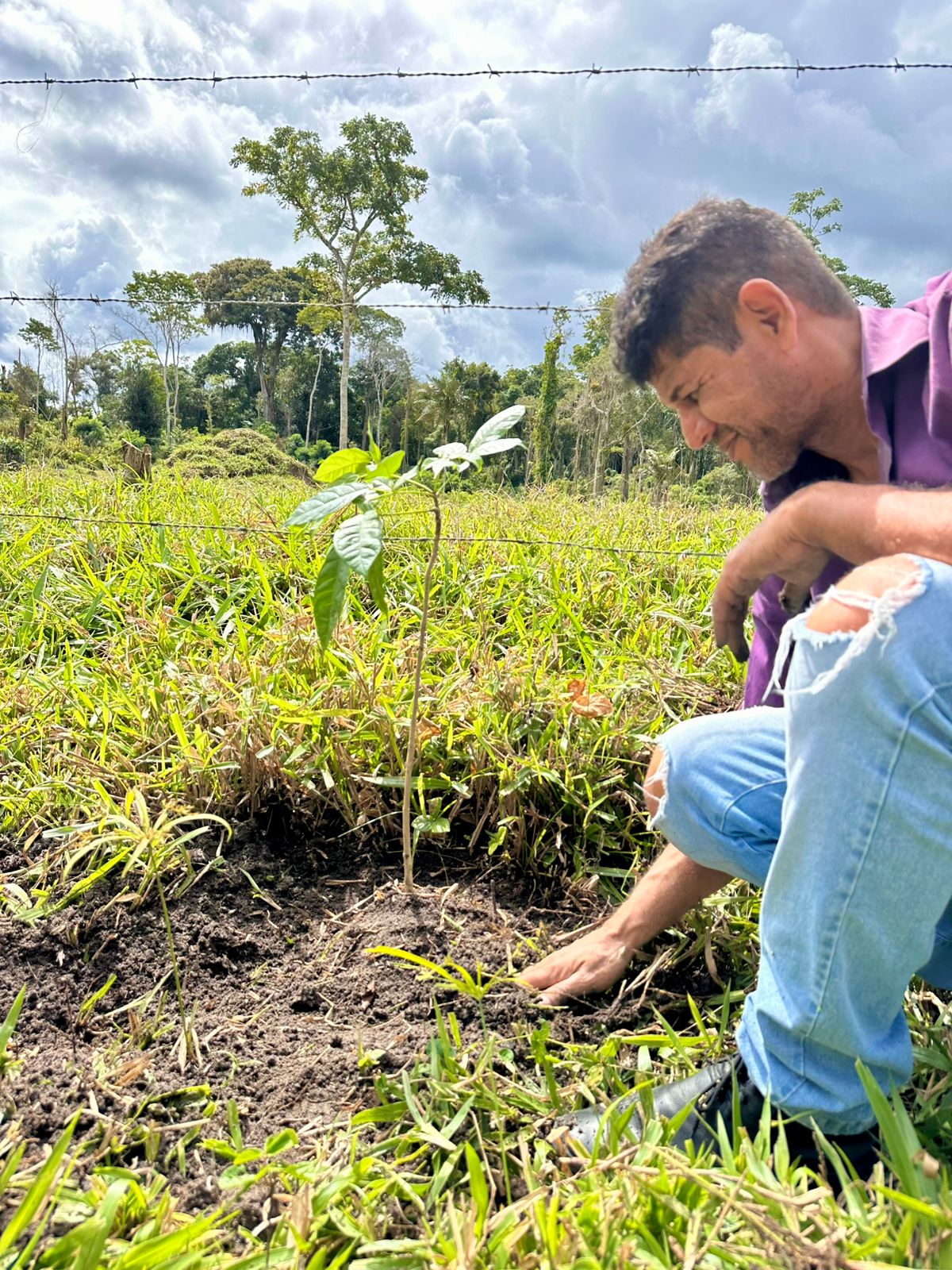 Prefeitura de Itabuna faz plantio de mudas nativas em ação de recomposição florestal