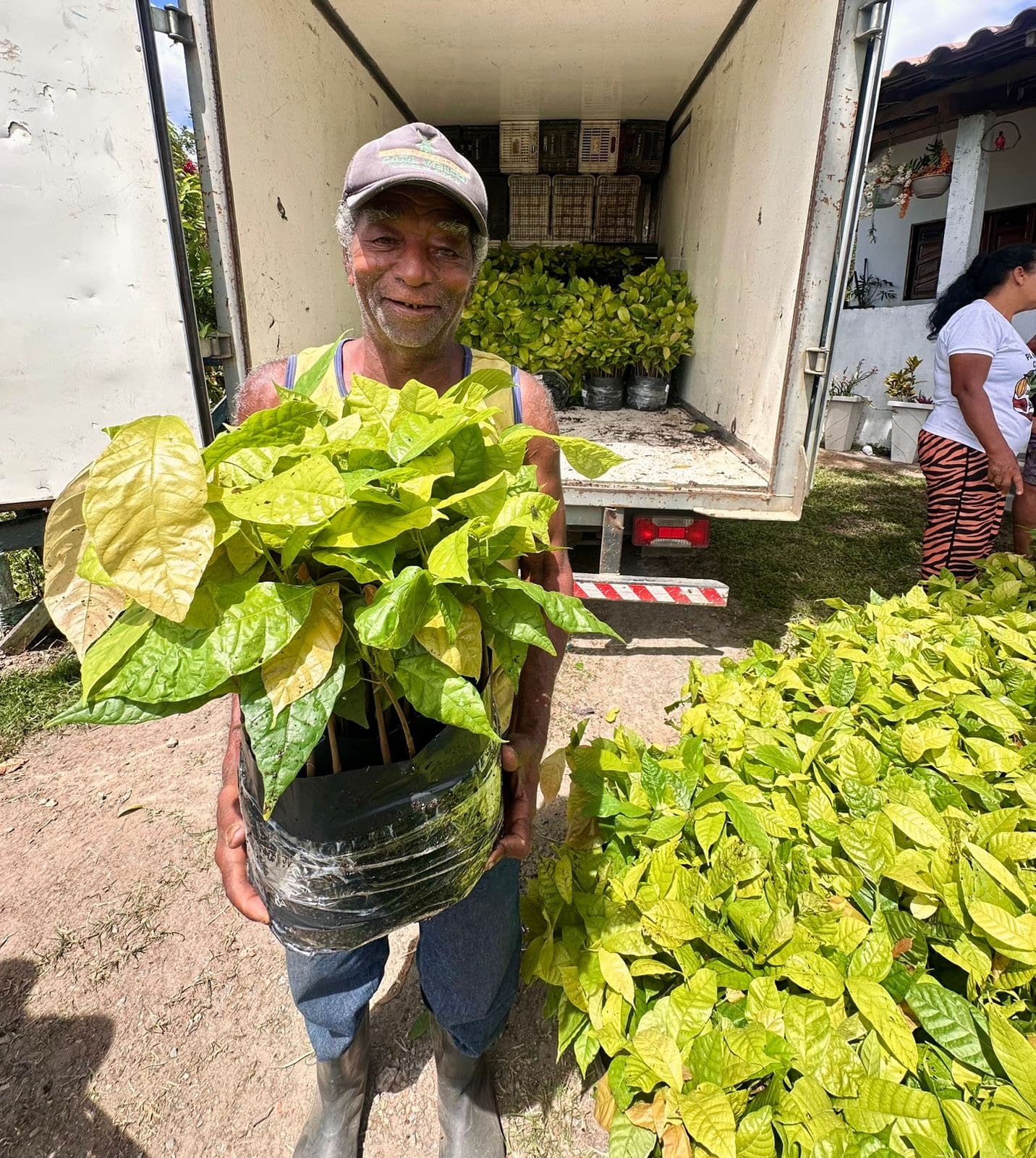 Prefeitura entrega 5 mil mudas de cacau para fortalecer agricultura familiar