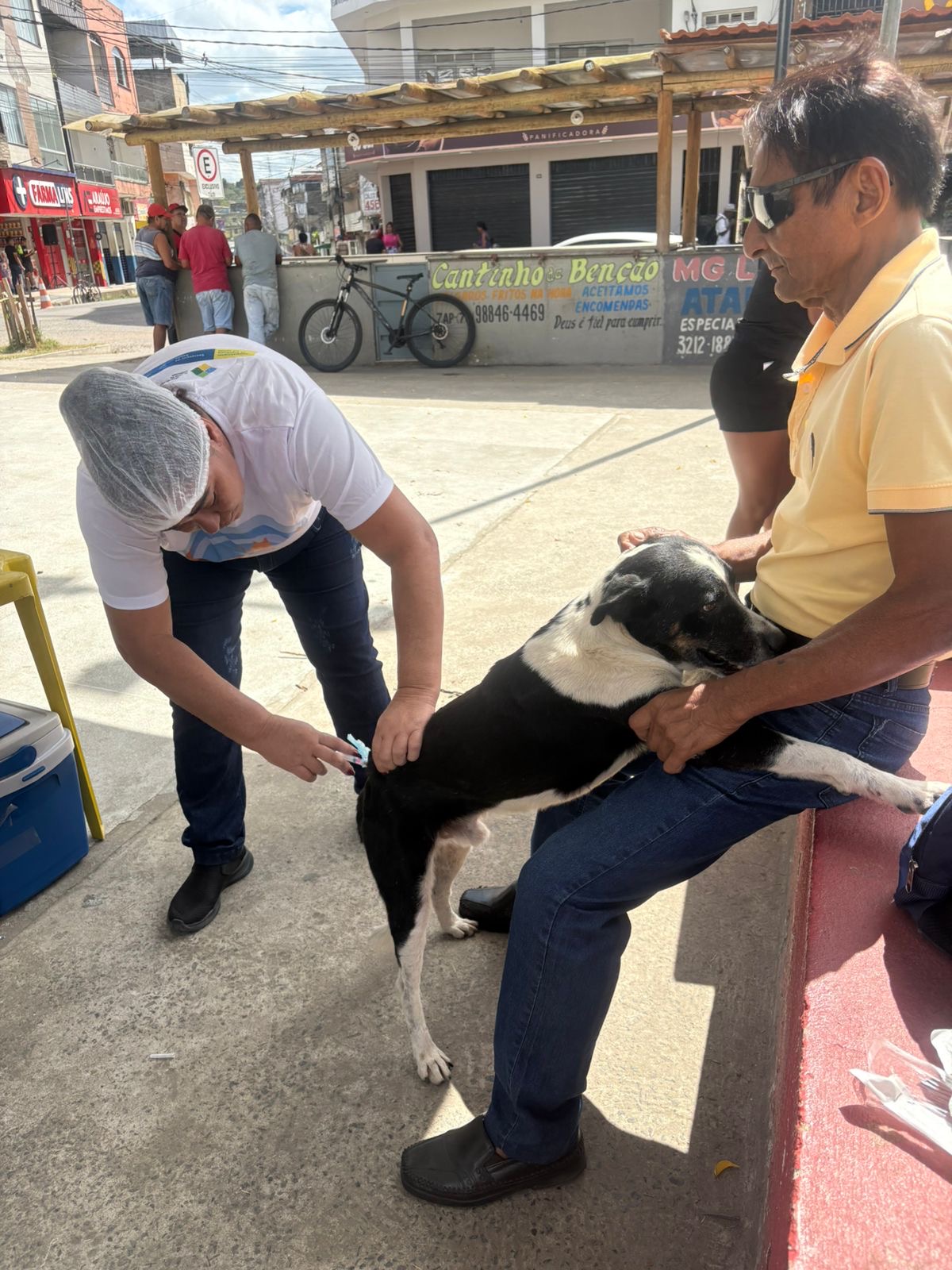 Prefeitura de Itabuna vacinou 7.792 animais na primeira semana da Campanha Antirrábica
