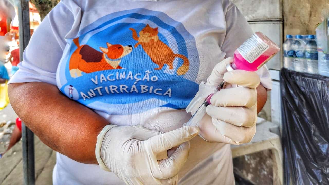 Prefeitura de Itabuna vacinou 7.792 animais na primeira semana da Campanha Antirrábica
