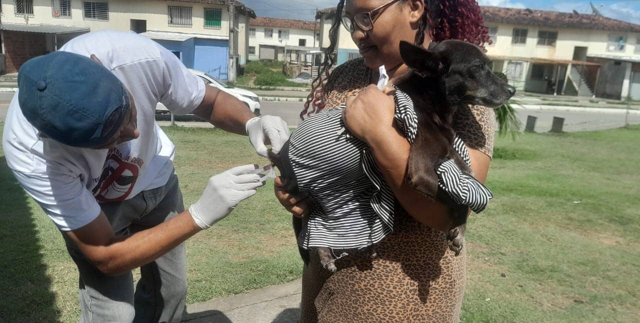 Prefeitura de Itabuna já imunizou 37.500 cães e gatos com a vacina antirrábica