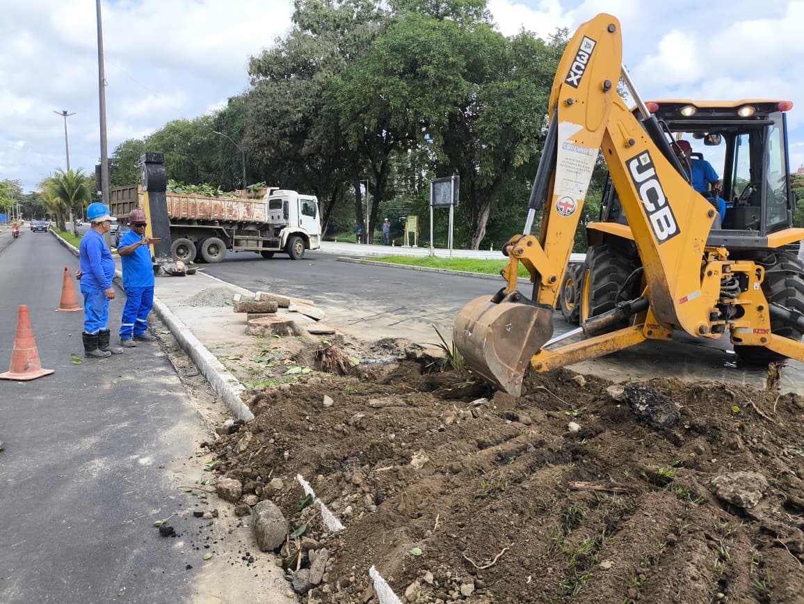 Prefeitura de Itabuna remove árvore com risco de queda na Avenida Aziz Maron
