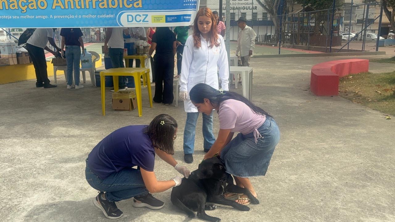 Prefeitura de Itabuna ultrapassa a marca de 13 mil doses aplicadas de vacina antirrábica
