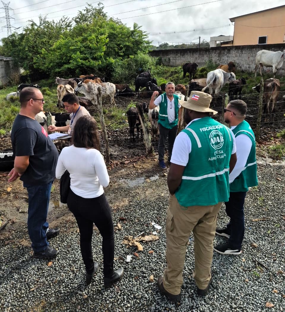 Prefeitura de Itabuna encerra amanhã a notificação de criadouros e propriedades rurais na área urbana para evitar animais nas vias públicas